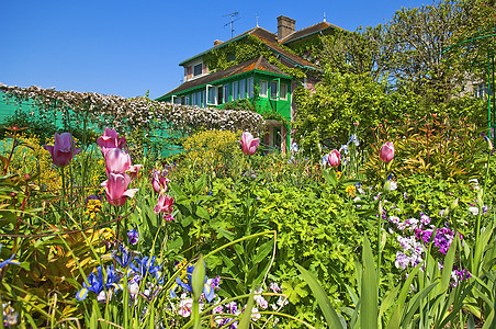 克劳德莫内花园花园乡村植物群场地旅行高原农村农业紫色植物学图片