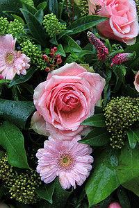 混合粉红花与水滴安排图片
