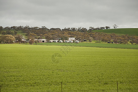 澳洲地貌旅游爬坡衬套公园树木红色风车领土风景假期图片