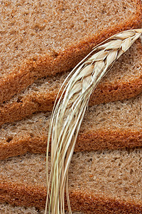 面包和耳朵核心收获粮食杂货店玉米种子乡村稻草碳水谷物图片