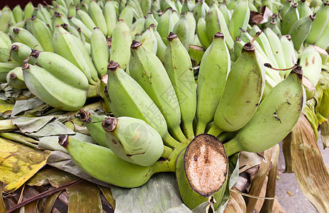 香蕉堆积团体气候植物场地绿色全球水果叶子农场生长图片