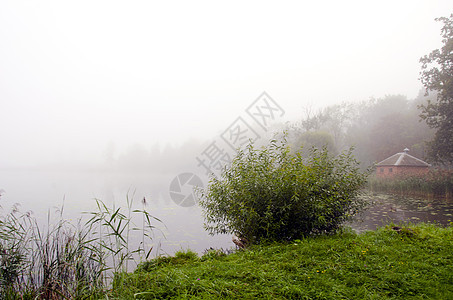 绿海岸植物和小棚屋的神秘湖雾图片