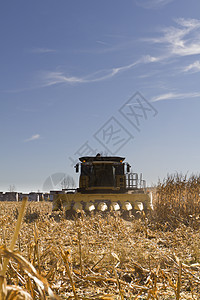 玉米收获核心工作作物天空收获土地农村机器生长机械图片