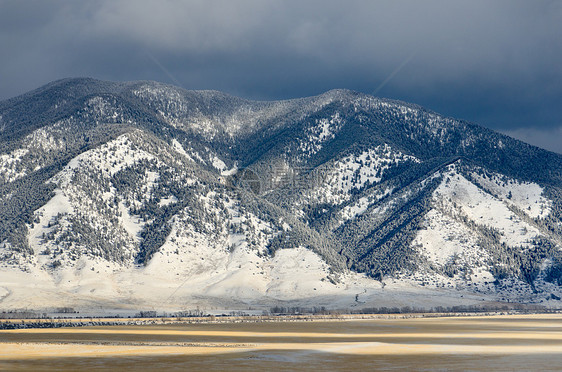 美国蒙大拿麦迪逊县有雪覆盖的森林山脊图片