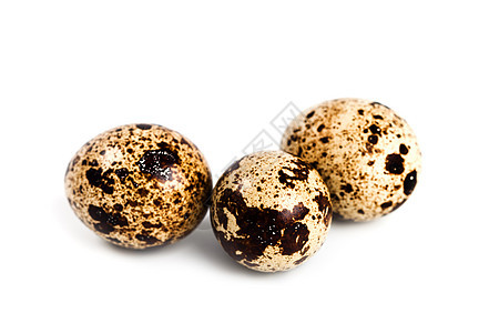 三个蛋鹌鹑烹饪食物美食生产脆弱性团体饮食母鸡家禽图片