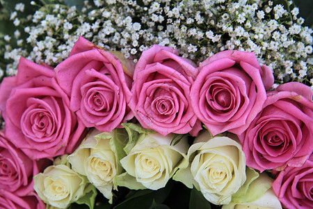 粉红玫瑰 白玫瑰和花朵安排中的吉卜赛人绿色玫瑰粉色花束白色植物学植物群花店花瓣植物图片