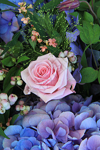 蓝色和粉红色花朵安排图片