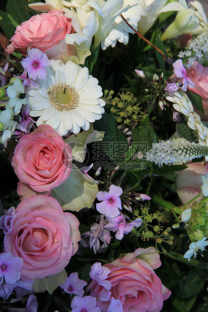 粉红花和白花安排详情图片