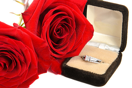 两条红玫瑰旁边的钻石环图片