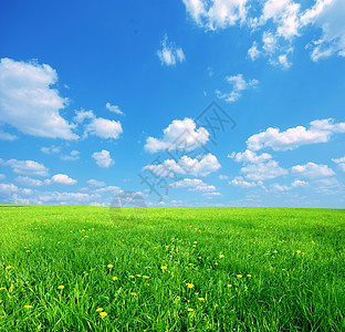 阳光春天风景植物农村农场天堂远景生长季节环境天空场地图片