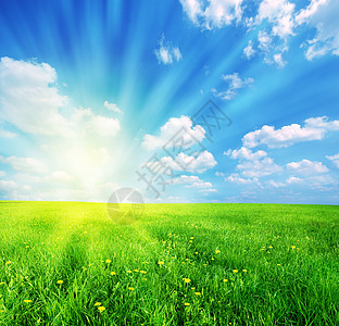 阳光春天风景草地生长天堂地形场景太阳环境季节植物土地图片