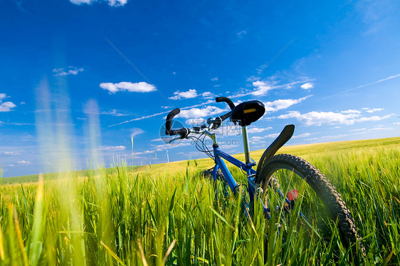 田地上的自行车图片