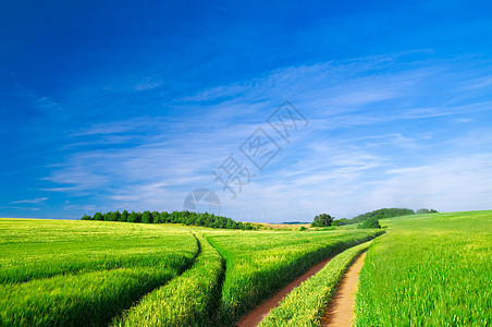 夏季风景晴天场景季节农场农村天空土地场地草地地形图片