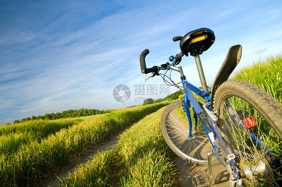夏季田地上的自行车图片