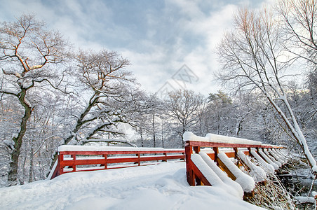 冬季白林木头季节暴风雪太阳阳光场景树木日落冻结荒野图片