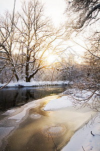 冬季白林季节冻结场景荒野太阳森林阳光暴风雪公园天空图片