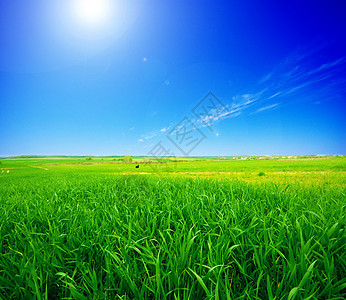 夏季风景天空植物蓝色场景生长天气土地晴天场地天堂图片