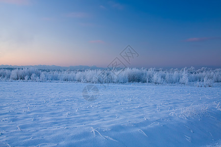 俄罗斯冬季森林季节天空场景国家寒冷蓝色风景雪花寒意图片