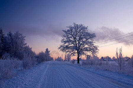 俄罗斯冬季寒意蓝色木头森林季节冻结雪景天空国家寒冷图片