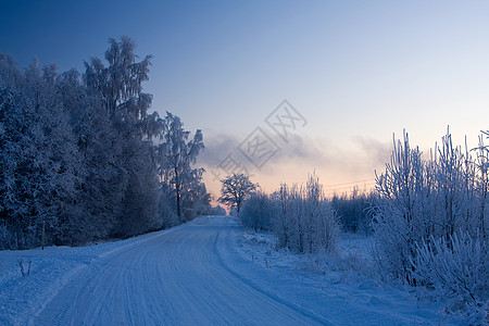 秋叶雪霜俄罗斯冬季木头场景天空雪花风景森林雪景蓝色季节冻结背景