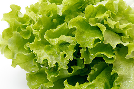 生料蔬菜食物营养健康植被水果绿色叶子植物植物群图片