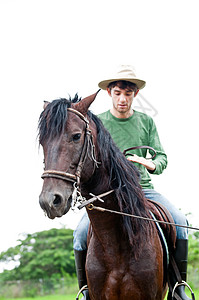 马和骑马者骑士绿色鞍座男人农场动物男生学校女士马匹图片