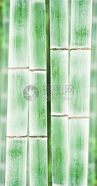 竹竹背景花园热带园艺枝条竹子绑定管道栅栏风水森林图片