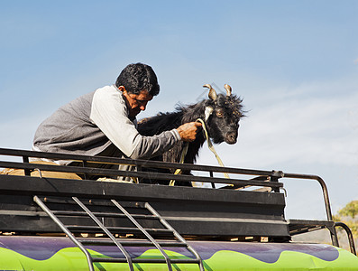 克什米尔基础设施人和山羊在屋顶架上图片