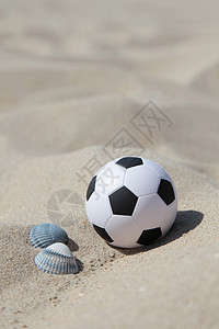 沙滩足球支撑假期概念玩具运动贝壳图片