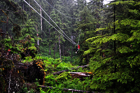 悬索运动树木绿色荒野森林极限图片