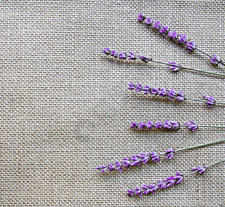 麻布背景的紫色花朵草本植物药品植物芳香花园植物群香味薰衣草园艺气味图片
