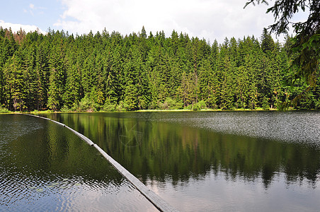 巴伐利亚的Arber湖荒野木头森林旅行水域冰川支撑山脉银行图片