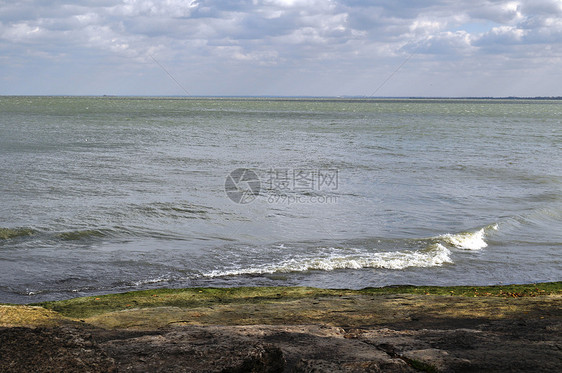 岩石和水背景湖岸树叶叶子银行波浪海浪绿色苔藓图片