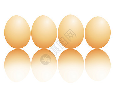新鲜鸡蛋饮食脆弱性团体营养椭圆形家禽食物生活母鸡农场图片
