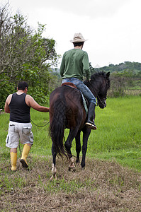 马和骑马者女孩动物女士男人骑士男生绿色农场热带国家图片