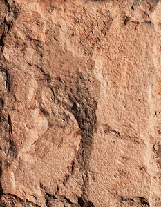 石块纹理矿物宏观花岗岩棕色干旱岩石石头地面材料框架图片