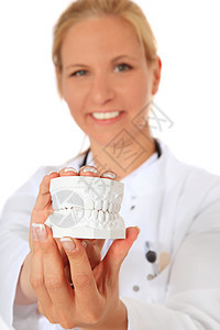 牙医选择性金发焦点医疗医生牙科女士石膏微笑模型图片