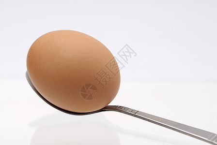 一个鸡蛋在茶匙上 白色背景图片