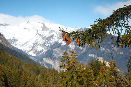 弹簧振动体爬坡自由土地高山旅行蓝色旅游风景场景国家图片