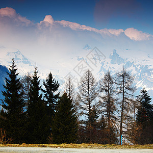 弹簧振动体旅行旅游国家天空自由爬坡风景高山假期土地图片