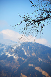 弹簧振动体高山土地岩石石头爬坡旅行旅游自由假期顶峰图片