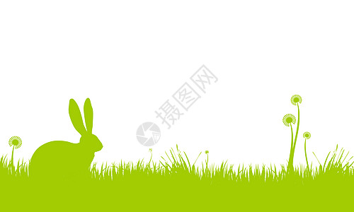 复活节兔子庆典花卉乐趣礼物背景问候元素花朵卡片插图图片
