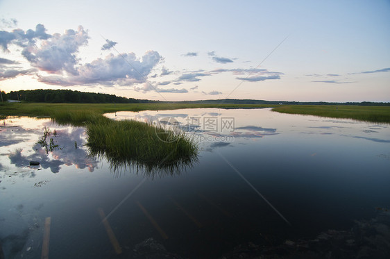 沼泽水路池塘湿地风景草原水平图片