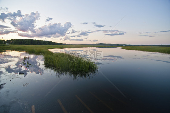 沼泽风景水平湿地水路池塘草原图片