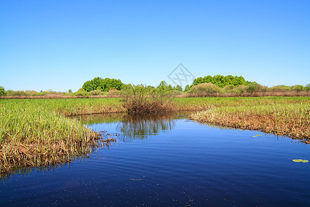 春田中的小河季节反射荒野草本植物生态植物群蓝色场地公园草地图片