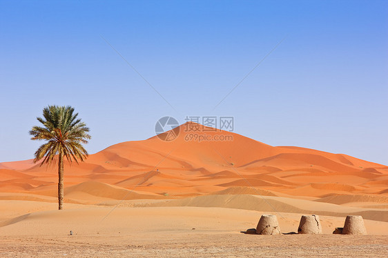 阿拉伯沙丘和棕榈树极限风光勘探地平线地形寂寞荒野风景橙子旅行图片