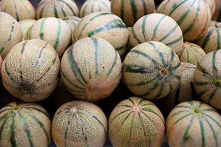 坎塔罗普摇滚甜瓜营养小吃团体市场水果皮肤饮食美食生产岩石图片