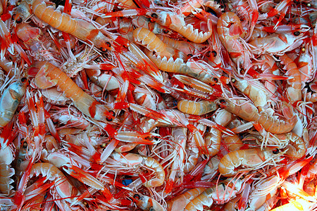 Norvegicus海产食品市场熟食烹饪天线午餐营养餐厅贝类健康饮食海洋图片