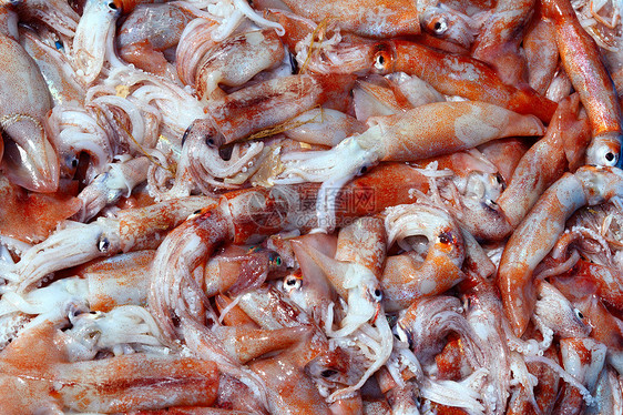 托特纳鱿鱼海产食品图片