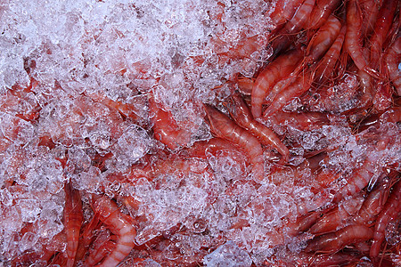 市场上的冰和地中海虾图片